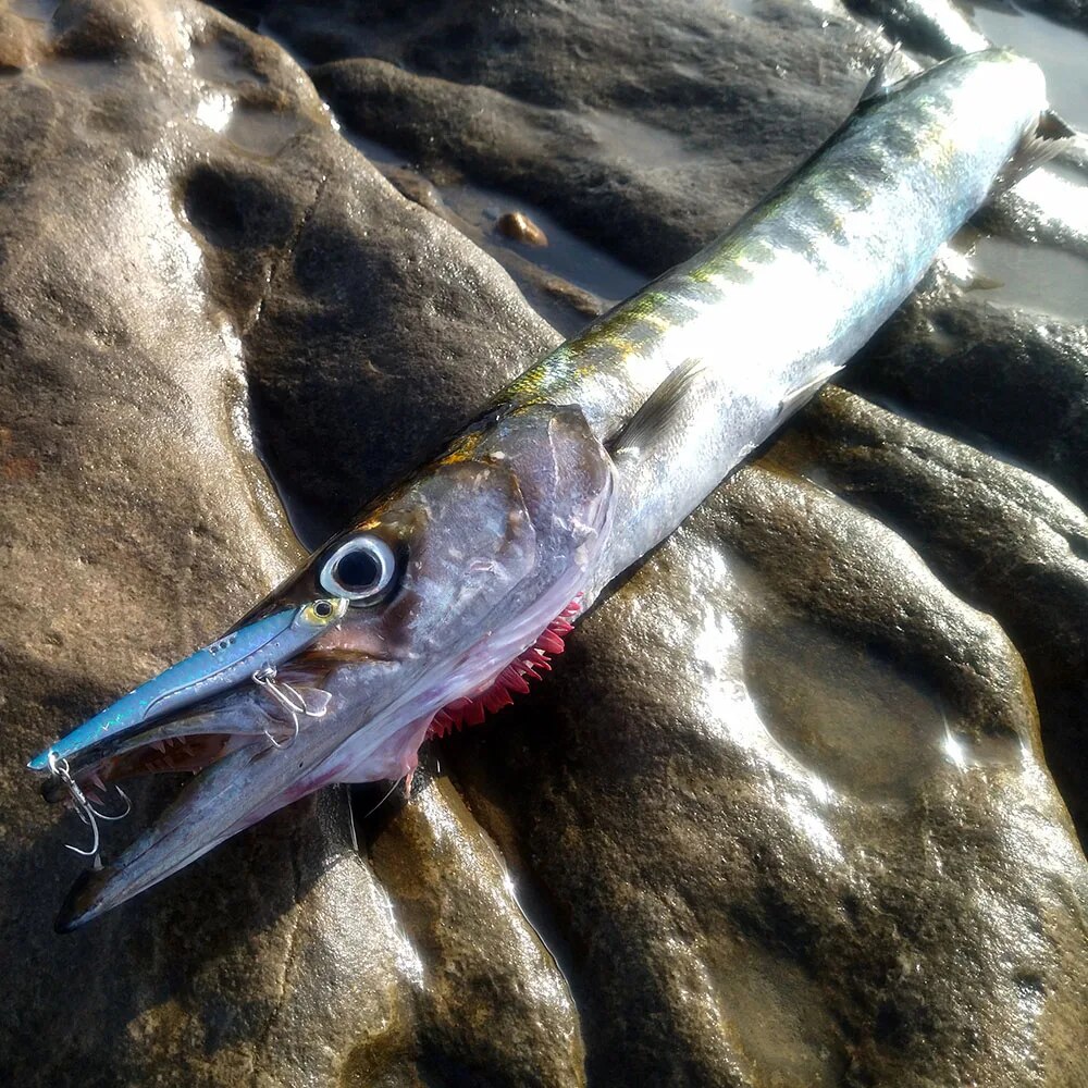 GOBAIT VIB umpan pancing 20g 2 - Fishing Hook Treble ulasan dan harga